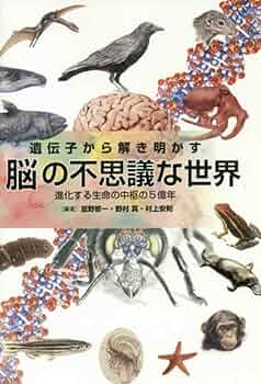 遺伝子から解き明かす脳の不思議な世界: 進化する生命の中枢の5